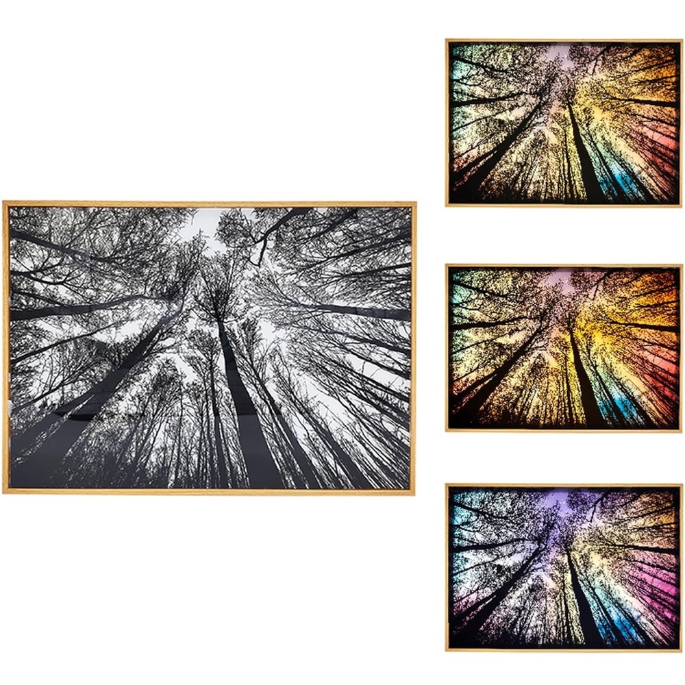 NWT BBOLDIN Light Up Painting Forest